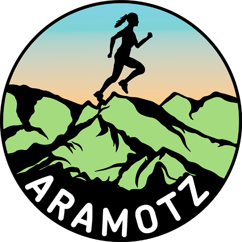 Aramotz Mendi Lasterketa